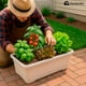thumbnail image 5 of Kit Mi Primer Huerto Bluelander, Materiales Ecologicos, Variedad De Semillas, 5 of 5