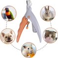 thumbnail image 3 of Cortaúñas para perros y gatos, cortaúñas LED para mascotas, cortaúñas profesionales para mascotas pequeñas y medianas JM MX-0137392FYD, 3 of 5
