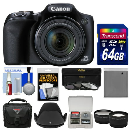 Canon PowerShot SX530 HS Wi-Fi Digital Camera with 64GB Card + Case + Battery + 3 Filters + Tele/Wide Lens Kit