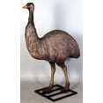 thumbnail image 6 of Emu Life Size Statue, 6 of 8