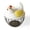 Yellow, variant on Chicken-Shaped Egg Storage Basket with Lid, Egg Holder, Decorative Storage for Fruits Snacks and Dried Fruits, Organizer Case, Home Kitchen Table Decor, Container Egg Basket