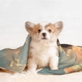 thumbnail image 4 of Disketp Sunshine Cloud Kitten Dog Blanket/Bed Cover for Dogs and Cats,Puppy Essentials-Small, 4 of 8