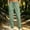 Green, variant on WIZUTIZ Women's Tapered Jogger Pants Elastic Waist Drawstring Side Pockets Athletic Sweatpants Workout Running Hiking Soft Stretchy Comfy Everyday