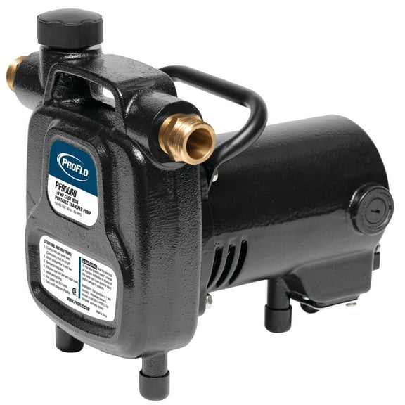 Proflo Pf90060 Cast Iron Portable Transfer Pump