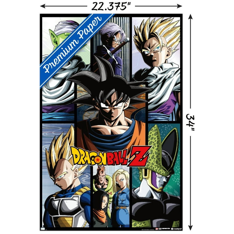 Dragon Ball Z - Grid Wall Poster, 22.375