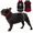 Black, variant on Coat, XXXL Winter Jacket, Warm Snow Jacket for Dogs, Reflective Puffer Coats Snowsuit for Dane, Turquoise XXX-Large
