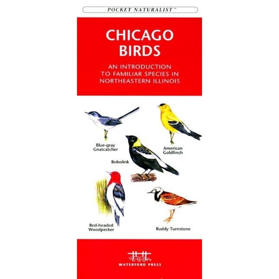 Wildlife and Nature Identification: Connecticut Birds : A Folding Pocket Guide to Familiar Species (Other)