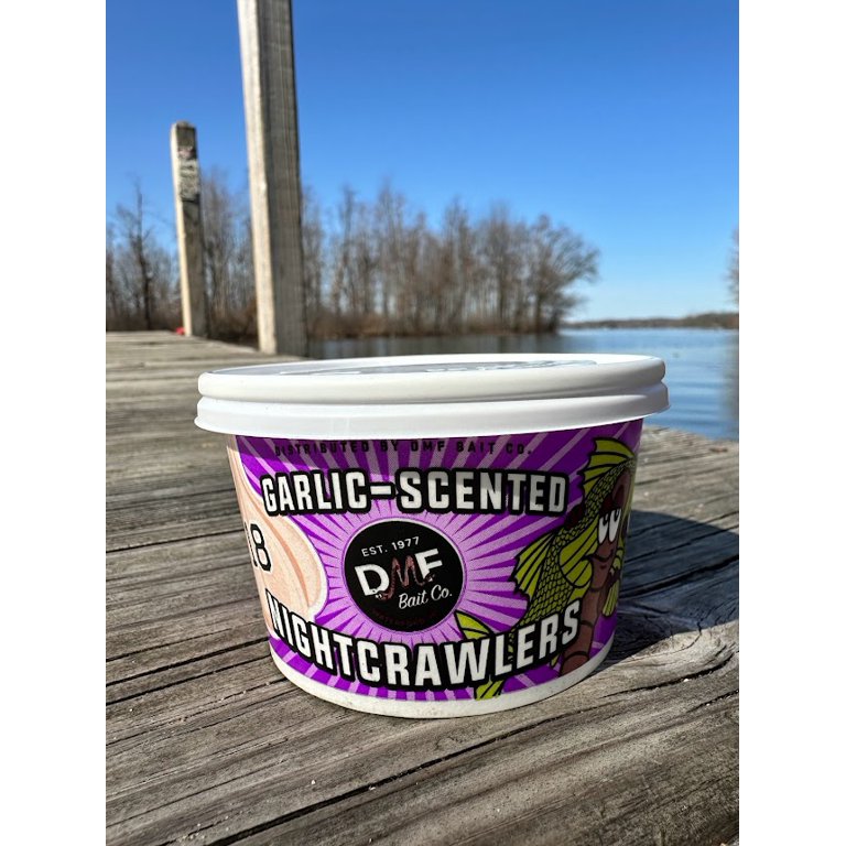 DMF Bait Co. 18 Garlic Canadian Nightcrawlers, Fishing Live Bait