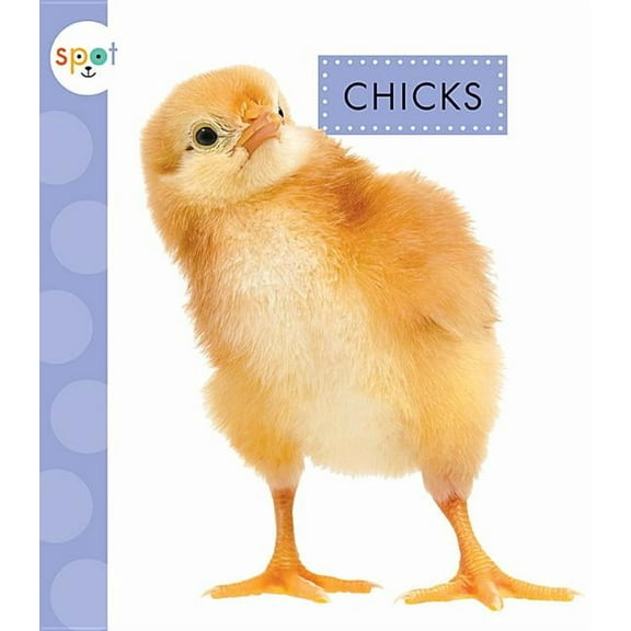 Spot Baby Farm Animals: Chicks (Paperback)