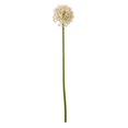 thumbnail image 3 of Hill Interiors Allium Stem Artificial Plant, 3 of 5
