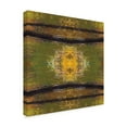 thumbnail image 2 of Trademark Fine Art 'Terre' Canvas Art by Anne Cote, 2 of 3