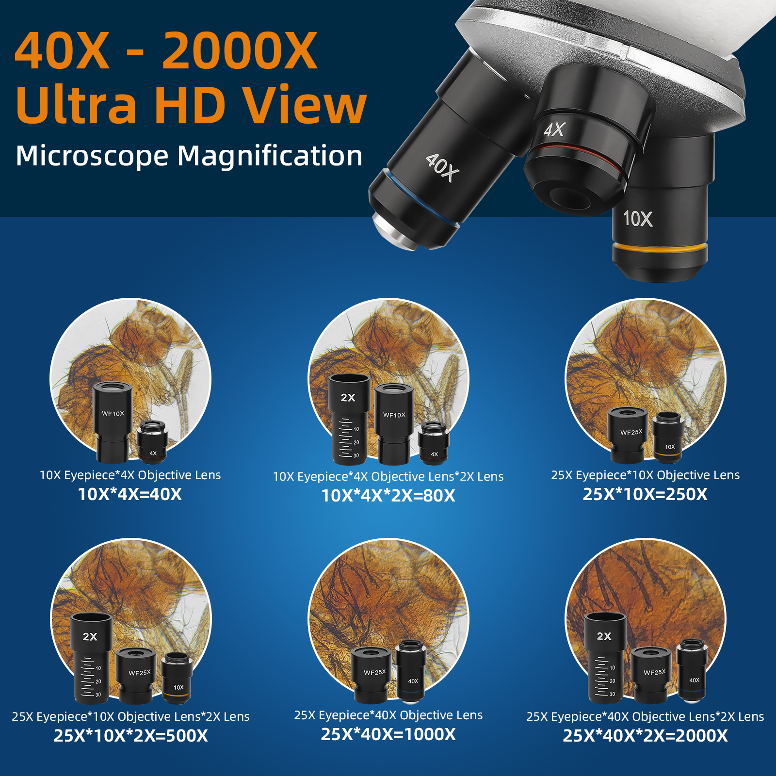 QUNSE 40x-2000x Compound Microscope with Slides Kit photo 2