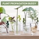 thumbnail image 5 of 3PCS Mix Color Plant Nurturing Decorative Plant Supports,Plant Propagation Buddy, 5 of 5