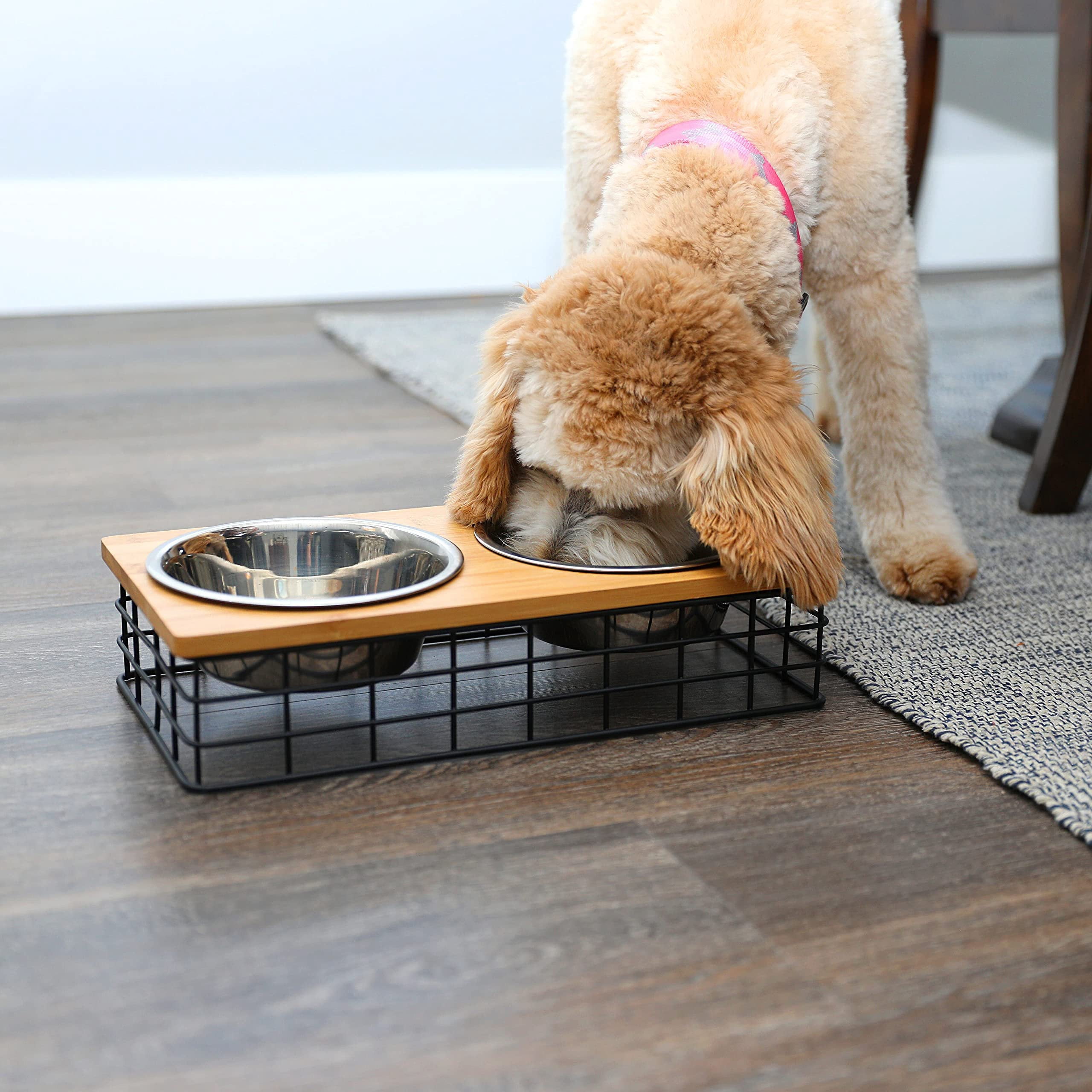 Barkley & Evans Elevated Double Pet Feeder, Removable Stainless Steel Bowls on Metal Stand, Raised Feeding Station for Pets, Dogs & Cats, Wet or Dry Food and Water - 1 Quart Bowls 32 fl. oz