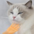 thumbnail image 3 of Gatito divertido dedo mano mascota Teaser varilla gato interactivo jugando varita juguetes Ndcxsfigh Nuevos Originales, 3 of 8