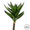 thumbnail image 3 of Vickerman 28" Artificial Green Succulent Stem, Pack of 2, 3 of 3