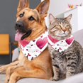 thumbnail image 4 of Valentine's Day Pack of Two Cat Scarves, Translucent Light and Breathable Chiffon Yarn, 40.6x40.6x58in & 53.3x53.3x76.2in Size Options, 4 of 5