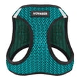 thumbnail image 1 of Best Pet Supplies - All Weather Mesh, Reflective, No Pull Harness for Small, Medium Dogs, Cats - Secure with Hook & Loop Fastener, Buckle, Double D-Rings - Turquoise 2-Tone, L, 1 of 3