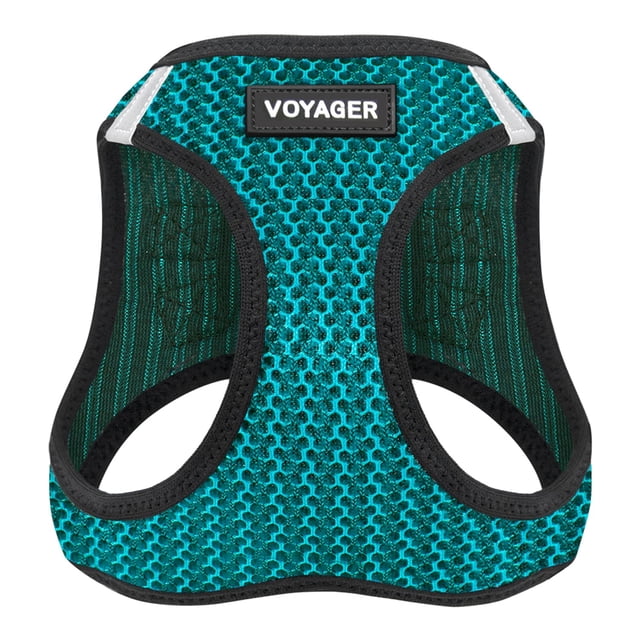 Malla Harness Best Pet Supplies para todo tipo de clima para perros y gatos pequeños y medianos, turquesa, 2 tonos S
