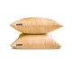 thumbnail image 5 of Funda de almohada lumbar de lujo HomeCentric, beige, paquete de 2, 50 x 70 cm (20 x 28 pulgadas), funda de almohada rectangular lisa y lisa de seda artística, estilo moderno liso - Beige de lujo, 5 of 5