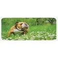 thumbnail image 1 of English Bulldog Kitchen Mat, Park in Spring with Blooming Daisies and Trees and Bulldog, Plush Decorative Kitchen Mat with Non Slip Backing, 47" X 19", Fern Green Brown White, by Ambesonne, 1 of 1