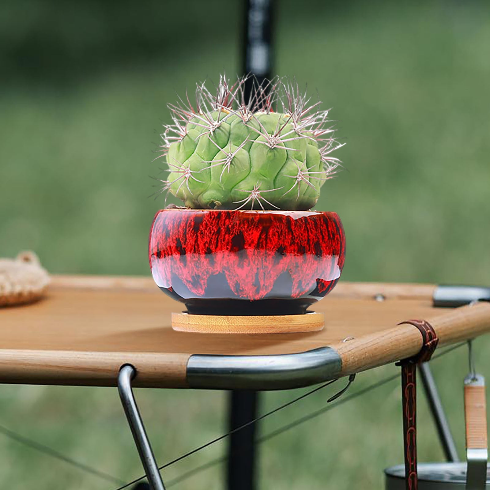 3.94 Inch Round Ceramic Succulent Planter Pot with Drainage Hole and Attached Saucer, Glazed Shallow Cute Indoor Pot for Cactus, Small Flower Pots, Home Garden Decor (Plants Not Included)