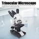 thumbnail image 5 of Microscopio Trinocular, 5 ángulos De Visión 40X-5000X Microscopios De Aumento Variador De Iluminación Halógena Para La Escuela, 5 of 7