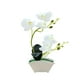 thumbnail image 5 of Matsuzay Orquídea artificial flores falsas en maceta simuladas Blanco 2Conjunto, 5 of 6