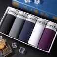 thumbnail image 1 of 5pcs/Lot Men's Underwear Sexy Boxer High Quality Fabric Underwear Breathable Comfortable Men's Fashion Solid Color Men's Shorts, 1 of 4