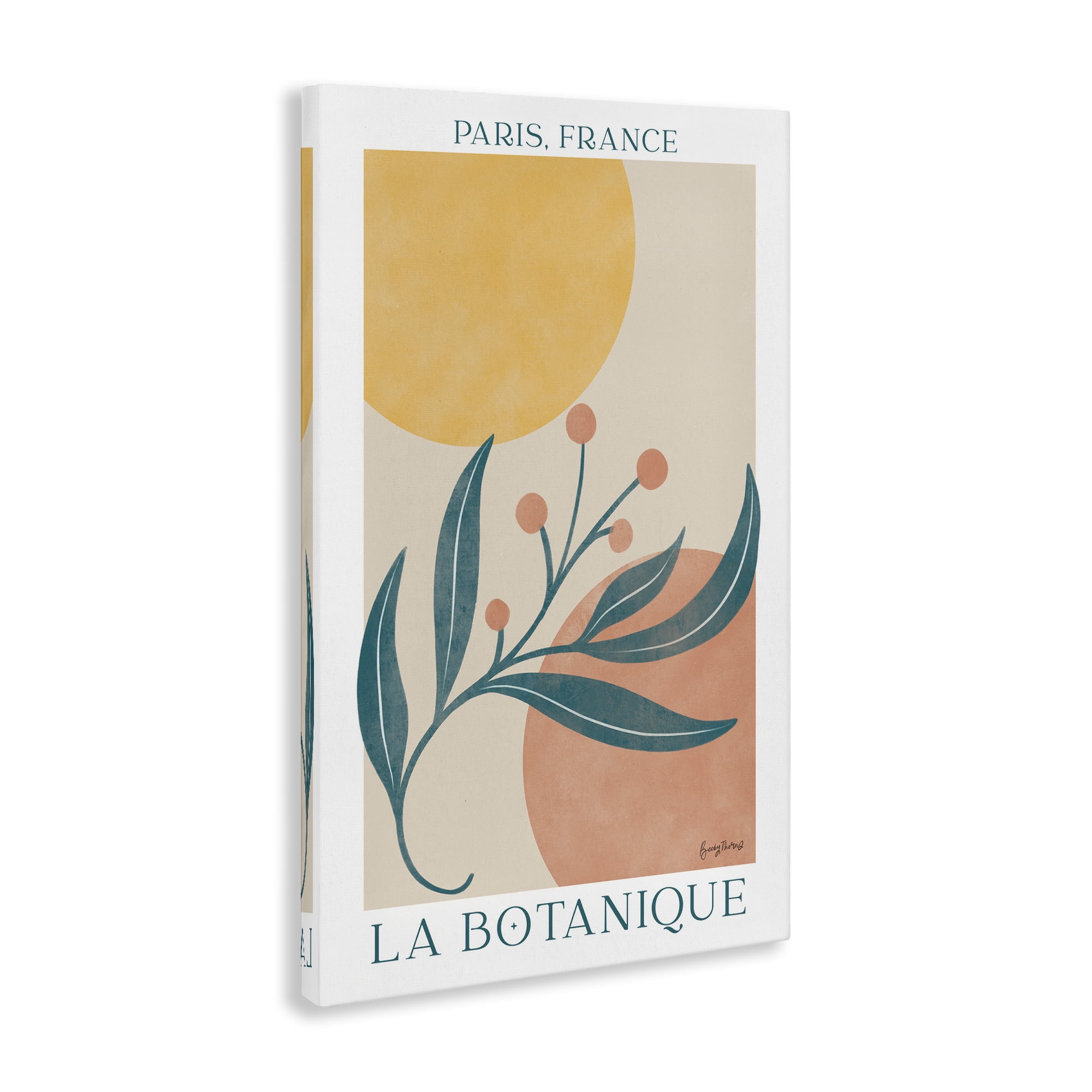 Stupell Industries French Botanical Poster Botanical & Floral Painting Gallery Wrapped Canvas Art Print Wall Art, 24 x 36
