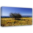 thumbnail image 1 of Alan Hausenflock 24x17 Gallery Wrapped Canvas Wall Art Titled - Distant Mountains IV, 1 of 4