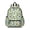 Beige Cartoon Dinosaurs Pattern, variant on Black Cartoon Dinosaurs Fossils Pattern Cute School Backpack with Padded Back and Adjustable Shoulder Straps 13.4"x11"x4.7"