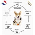 thumbnail image 3 of Dispensador original de premios interactivos indestructibles para perros | Pelotas resistentes al estrés | Apto para lavavajillas | Juego inteligente para perros, 3 of 4