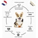 thumbnail image 3 of Dispensador original de premios interactivos indestructibles para perros | Pelotas resistentes al estrés | Apto para lavavajillas | Juego inteligente para perros, 3 of 4