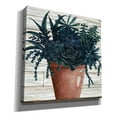 thumbnail image 2 of Epic Graffiti 'Remarkable Succulents III' by Cindy Jacobs, Canvas Wall Art, 12"x12", 2 of 2