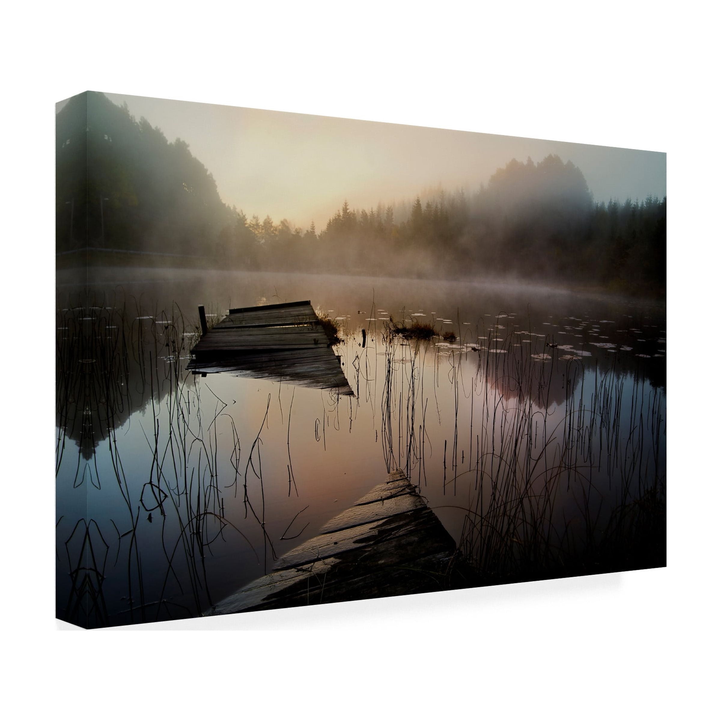 Willy Marthinussen 'In The Misty Morning' Canvas Art