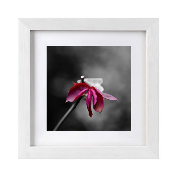 12x12 Picture Frame Multi Photo Frames Collage for Wall or Tabletop Display Quality Solid Wood Frame, Easy Type Action to Remove the Backing,can Be Hung Horizontally or Vertically
