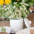 thumbnail image 2 of Weddingstar Vintage White Enamelware Canister Favors With Lid - Set of 4, 2 of 4