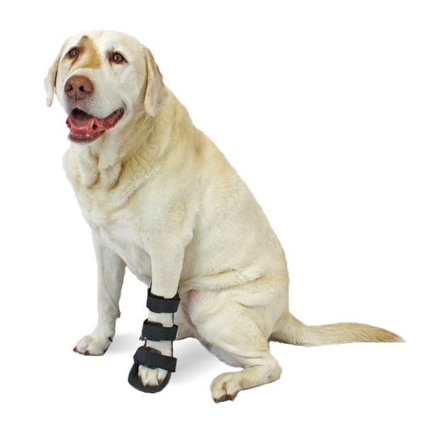 Pet Splint For Dogs Front Leg Foot Splint For Dogs With Arthritis And Injuries Walmart Com