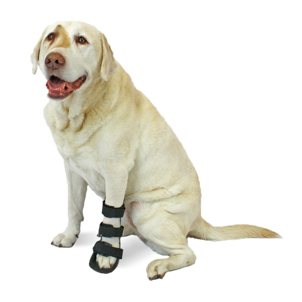 Pet Splint for Dogs Front Leg Foot Splint For Dogs with Arthritis and