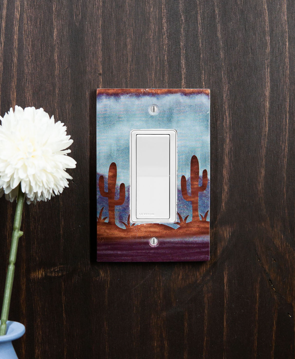 1-Gang Device Receptacle Wallplate Single Outlet Wall Plate/Panel Plate/Cover Green Plant The Cactus And Cactus Flowers Light Panel Cover 