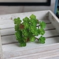 thumbnail image 1 of Micro Landscape Simulation 24 Heads Succulents Home Decoration Fake Plants, 1 of 9
