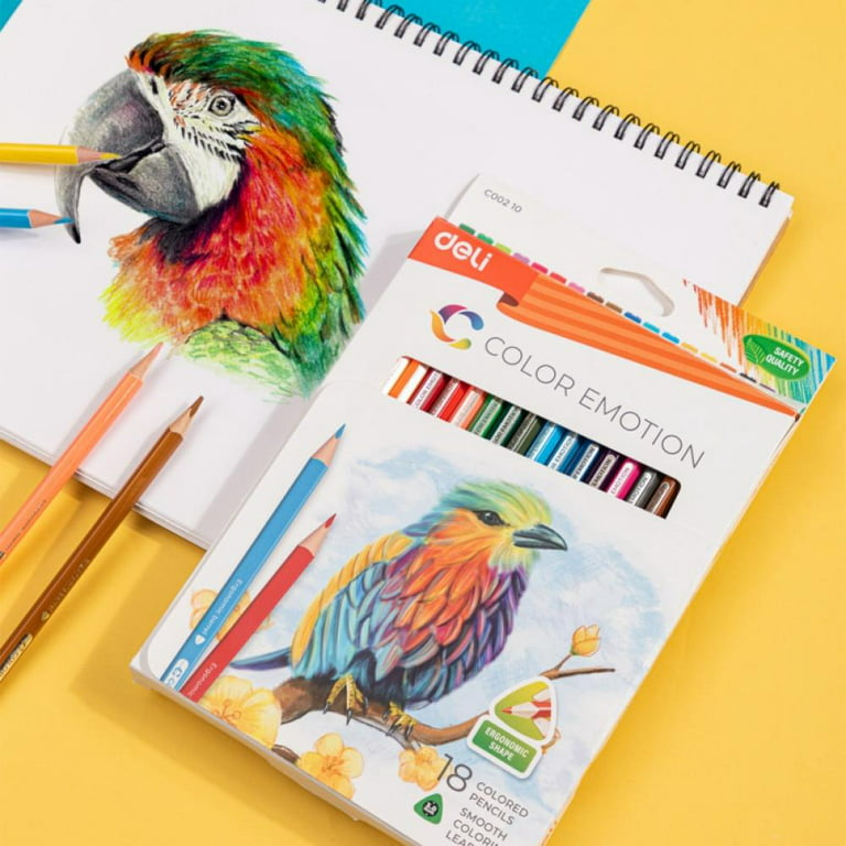 Watercolor Pencils 101: Techniques, Advantages, and Best Choices