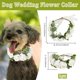 thumbnail image 2 of Collar de flores para perro, diadema floral blanca para boda, corona de flores ajustable, 2 of 6