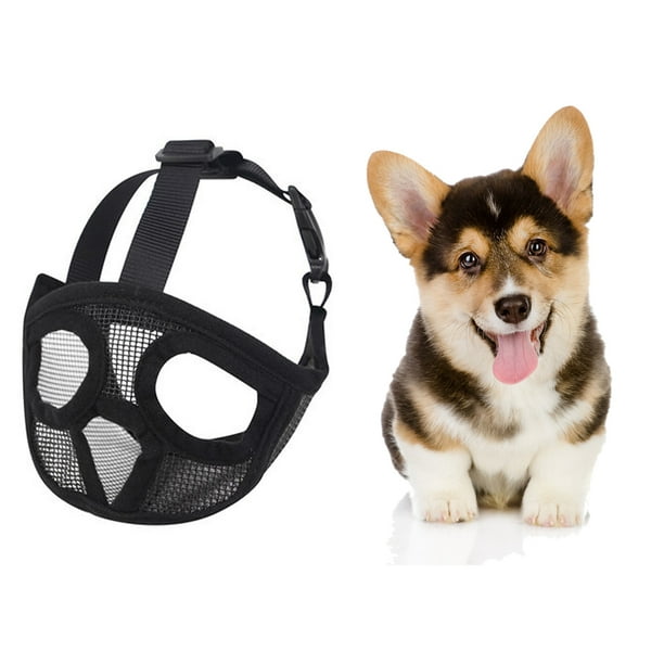 Muzzle for clearance small dogs walmart