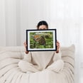 thumbnail image 2 of Monarch Butterfly on Daucus Carota - York Pennsylvania Photography Butterfly Insect Nature Wildlife Floral Garden Botanical Black Framed Wall Art Print 24 x 36 inches, 2 of 8