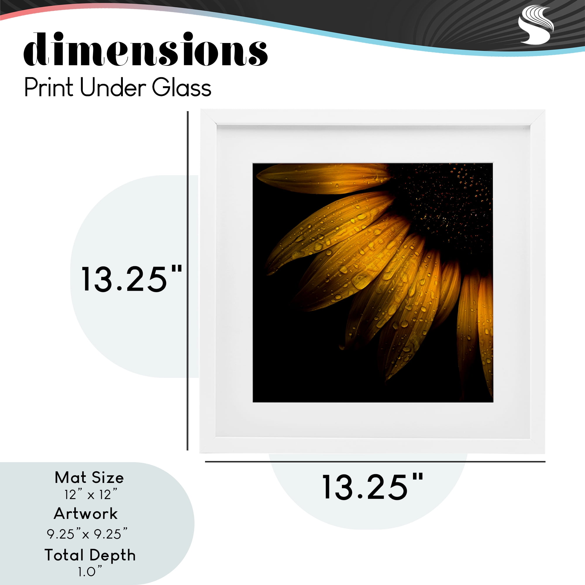 Sunflower Detail with Droplets White Framed Print Under Glass, design by Brian Carson Photography