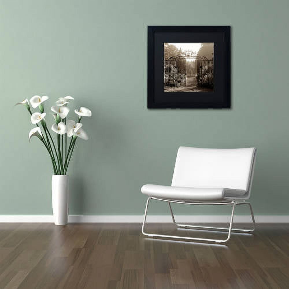 Trademark Fine Art "Hampton Gates III" Canvas Art by Alan Blaustein, Black Matte, Black Frame