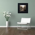 thumbnail image 3 of Trademark Fine Art "Hampton Gates III" Canvas Art by Alan Blaustein, Black Matte, Black Frame, 3 of 4