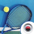 thumbnail image 2 of Actualización del tenis Cadena de arnés medioIndoor al aire libre tenis raqueta de cuerda baja elasticidad línea de nylon 0.135cm diámetro de alambre duro accesorios para reemplazar piezas beige Inevent OD002590-01B, 2 of 7